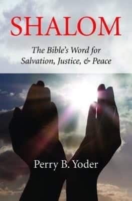 Book cover showing praising hands lifted up to a beautiful majestic sky stating Shalom, The Bible's Word for Salvation, Justice and Peace.
