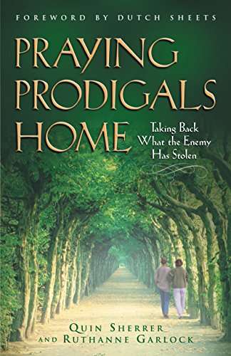 Beautiful book cover showing a long straight road with identical green trees on both sides and two people walking together and Praying Prodigals Home.