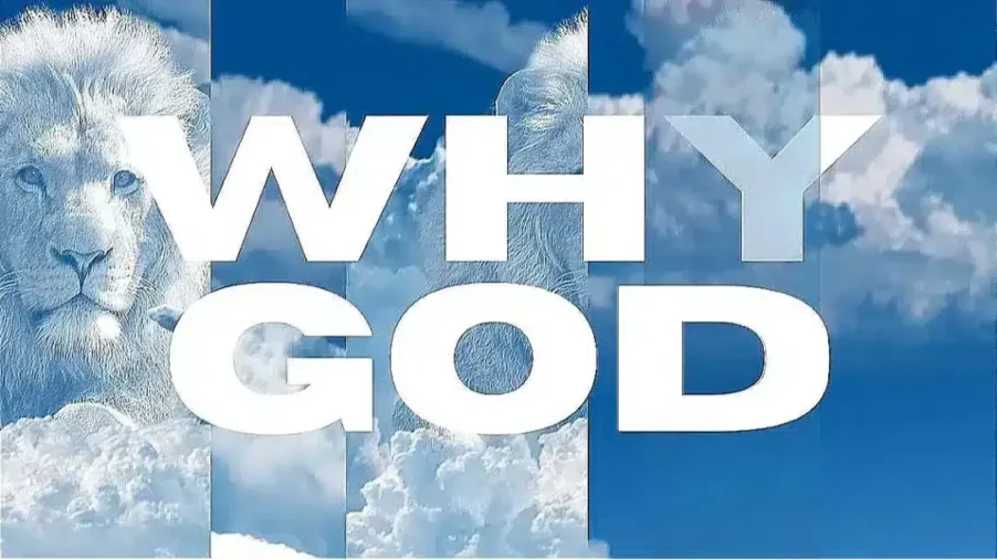 Image featuring the phrase "WHY GOD" overlaid on a background of a cloudy sky and a lion's face, symbolizing themes related to belief in the living God.