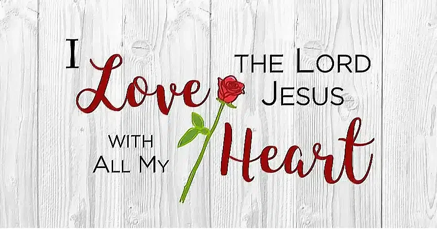 Wooden background with text: "I Love U Jesus with All My Heart" and a red rose seeking spiritual guidance.