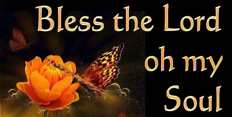 Illustration with vibrant butterfly resting on a blooming orange flower alongside the text "Bless the Lord, oh my Soul," symbolizing healing and renewal from a broken heart.