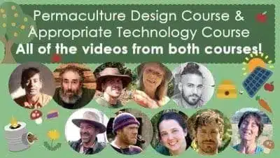 permaculture-design-course