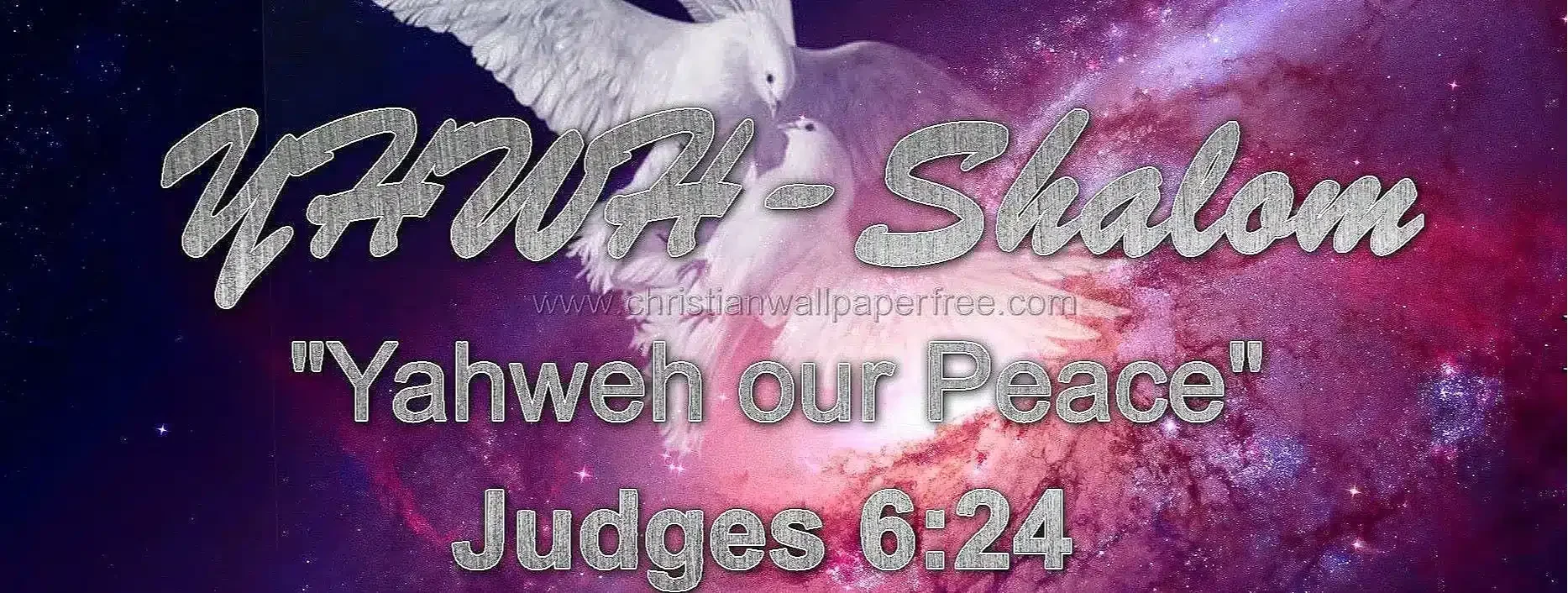 Two beautiful white Doves flying in sky signifying Shalom stating in gray letters Yahweh Our Peace.